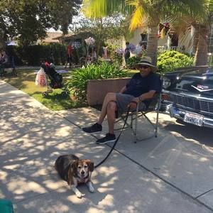 Meet your Posher, David